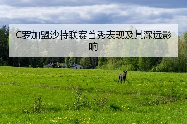 luo-jia-meng-sha-te-lian-sai-shou-xiu-biao-xian-ji-qi-shen-yuan-ying-xiang-2-209.jpg